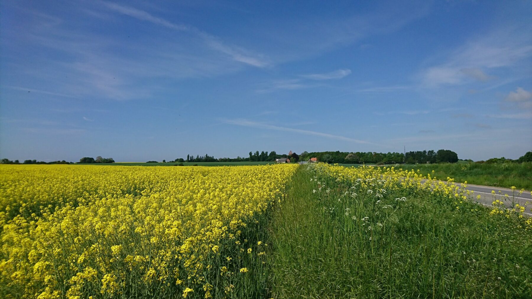 Naturområde