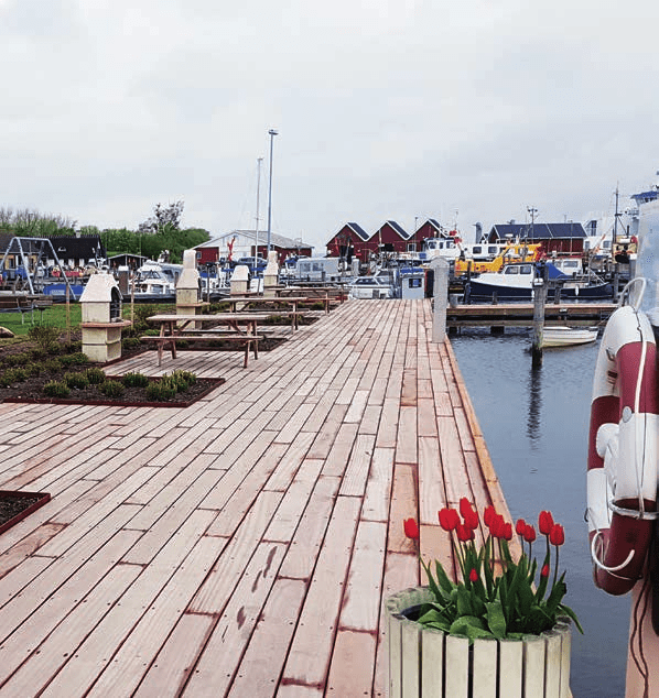Smuk lystbådehavn med røde tulipaner og skibe der ligger til