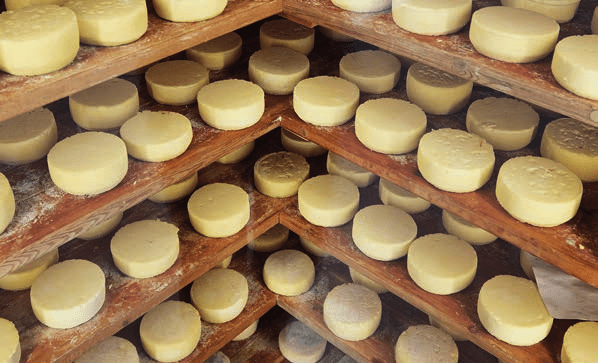 Et hav af oste der ligger på træhylder